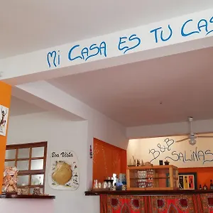 Salinas Apartment Maio Wifi Free Bed & Breakfast